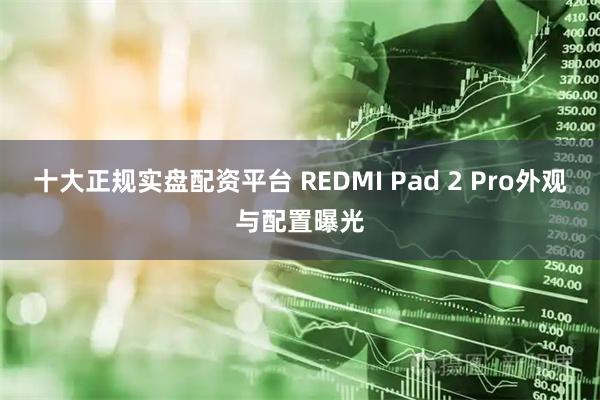 十大正规实盘配资平台 REDMI Pad 2 Pro外观与配置曝光